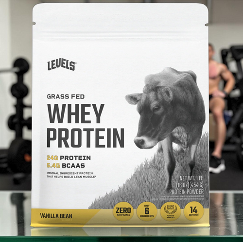 Whey Protein